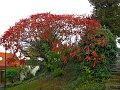 IMG_5545 (2)